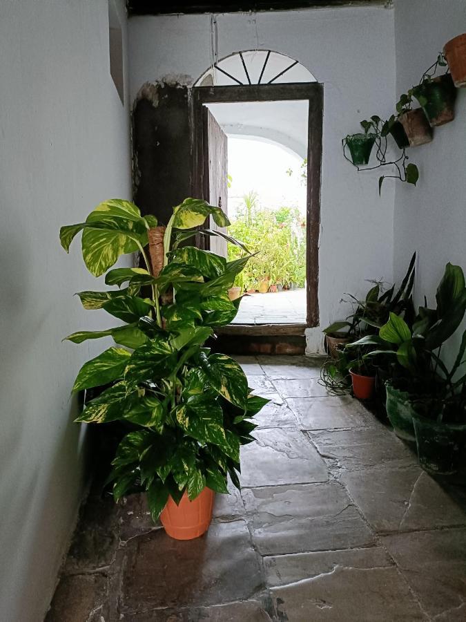 Casa Amalfi, Coqueta Casa Centro Historico De Vejer Appartement Vejer de la Frontera Buitenkant foto