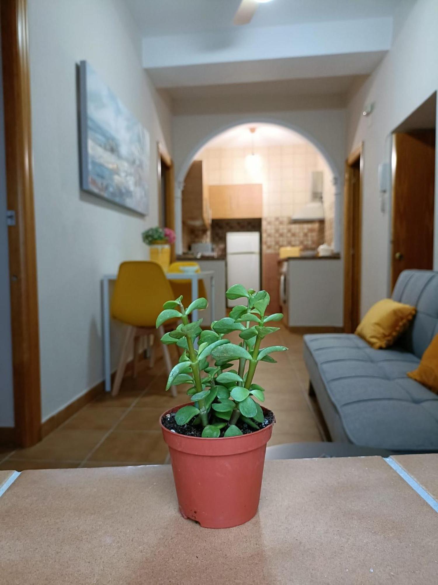 Casa Amalfi, Coqueta Casa Centro Historico De Vejer Appartement Vejer de la Frontera Buitenkant foto